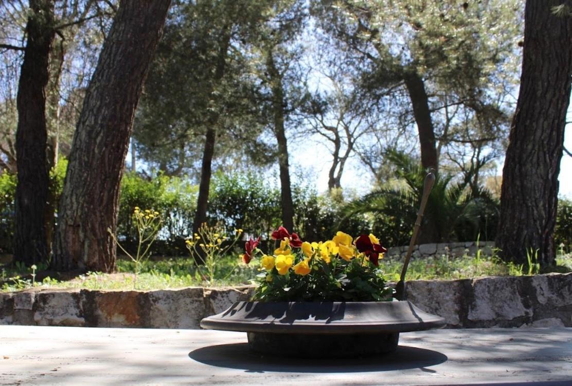 Trulli Pinnacoli Locorotondo Εξωτερικό φωτογραφία